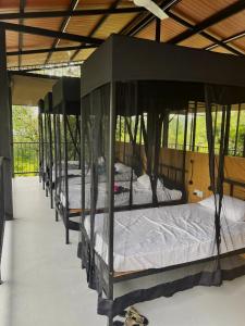 a row of four beds in a room at Wildcat hostel Yala in Kataragama +36 photos