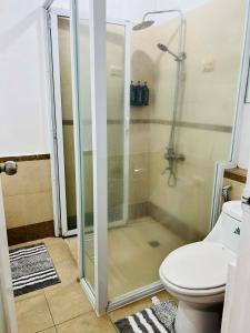 a bathroom with a shower and a toilet at Poolside Condo in Subic Bay in Olongapo +7 photos