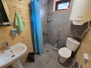 a bathroom with a toilet and a sink and a shower at Lasha's Cottage in Mestia