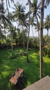 a picnic table in a field with palm trees at Fusion Home in Anjuna