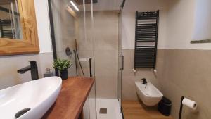 a bathroom with a shower with a sink and a toilet at CAV MES VALLEES La Thuile in La Thuile +29 photos