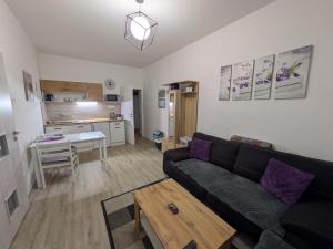a living room with a black couch and a table at Olsinky in Ústí nad Labem