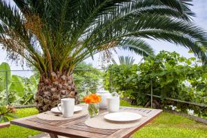 a wooden table with plates of food on it next to a palm tree at Quinta Golfinho in Arco da Calheta