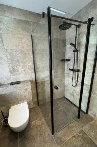 a bathroom with a glass shower with a toilet at Apartment Angela in Mittersill +11 photos
