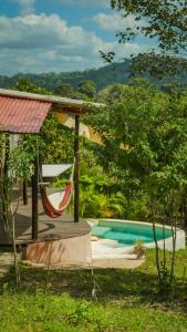 a resort with a hammock and a swimming pool at Eco Cabins by La Mona Palomino in Palomino
