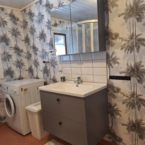 a bathroom with a sink and a washing machine at Hus på landet nära sjö in Berga +8 photos