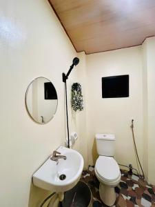 a bathroom with a toilet and a mirror and a sink at Ambungan Homestay - Siargao in General Luna