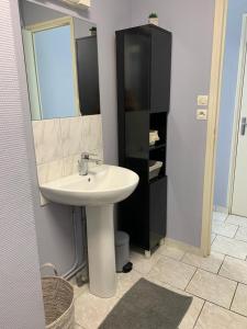 a bathroom with a sink and a mirror at studio meublé, résidence calme in Saint-Amand-les-Eaux
