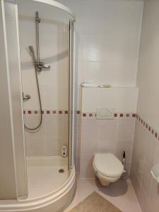 a white bathroom with a toilet and a shower at Tatra Frank Apartman in Štrba