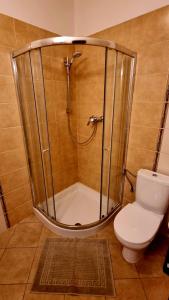a bathroom with a shower and a toilet at Bešeňová Apartment in Bešeňová +10 photos