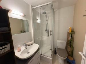 a bathroom with a shower and a sink and a toilet at La Douce Escale studio in Courseulles-sur-Mer +33 photos