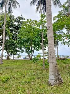 a group of palm trees in a field with the ocean at Amera Beach in Karimunjawa