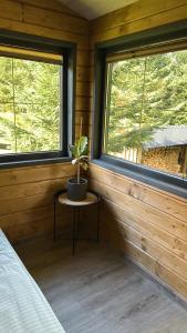 a plant sitting on a table in a room with two windows at Шале 1077 метрів над рівнем моря in Krivopolʼye