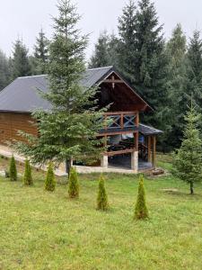 a log cabin with a tree in front of it at Шале 1077 метрів над рівнем моря in Krivopolʼye