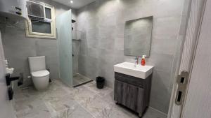 a bathroom with a sink and a toilet at كورنيش نيل معادي in Al Ma‘şarah