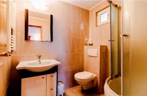 a bathroom with a sink and a toilet and a shower at Pensiunea Vacanta in Lupeni +2 photos