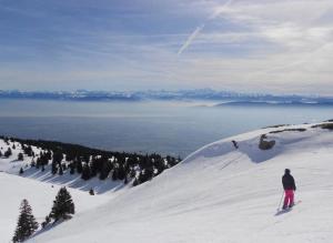 a person on skis on a snow covered slope at Cocon Des Bois - Gex Genève Mijoux in Mijoux