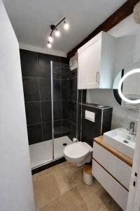 a bathroom with a toilet and a shower and a sink at Loft Blois Cathédrale 2 Chambres in Blois