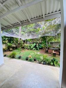 a view of a garden from a patio at Lagoon Home Stay in Ahangama +20 photos