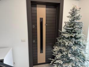 a christmas door with a christmas tree in front of it at visitor's house 2 in Rădăuţi