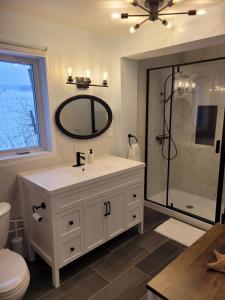a bathroom with a sink and a shower at Le Chalet du Domaine Gourmand in Thetford Mines +43 photos