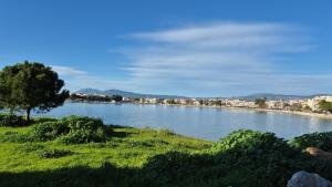 a river with a tree and buildings in the background at Sea View Artaki Apartment in Nea Artaki