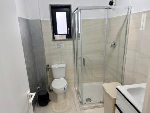 a bathroom with a shower and a toilet and a sink at visitor's house 4 in Rădăuţi