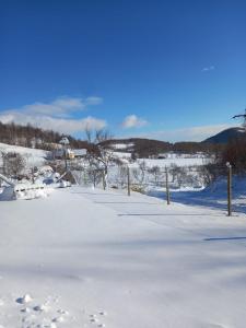 a snow covered road with a fence in the distance at Căsuța din deal in Tranisu