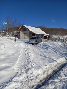 a car parked in front of a house in the snow at Căsuța din deal in Tranisu
