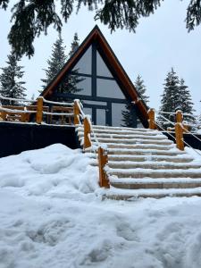 a set of stairs in the snow in front of a building at ALTURA Chalet in Muntele Băişorii