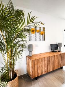 a potted plant sitting on top of a wooden table at House Sworyx in Walvis Bay