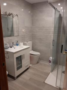 a bathroom with a toilet and a sink and a shower at Casa Rural Horizontes de la Mancha in El Toboso +15 photos