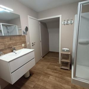 a bathroom with a white sink and a shower at Le Relais De La Motte in Soignies