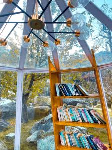 a glass greenhouse with a shelf of books at The GlampView Resort in Manāli