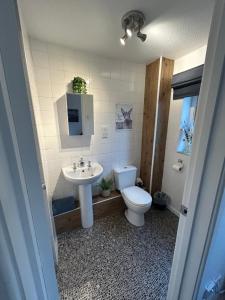 a bathroom with a toilet and a sink at Town Centre Apartment in Mold