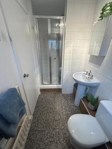 a bathroom with a shower and a toilet and a sink at Town Centre Apartment in Mold +5 photos