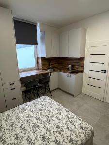 a bedroom with a bed and a desk and a kitchen at 16 Airport Apartment in Vilnius +8 photos