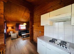 a kitchen with a stove and a living room at The Nordic Retreat in Gramsbergen