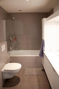 a bathroom with a toilet and a bath tub at City centre with lake view in Neuchâtel +14 photos
