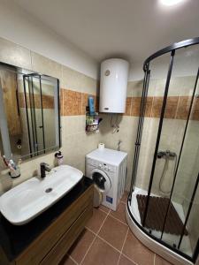 a bathroom with a sink and a shower at Apartman Sunce in Budva