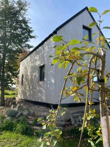 a gray house with a black roof at Astroturystyka Izeria in Leśna