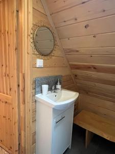 a bathroom with a sink and a mirror at Apartamenty nad Przełomem Białki Apartments in a nature reserve Przełom Białki in Nowa Biała