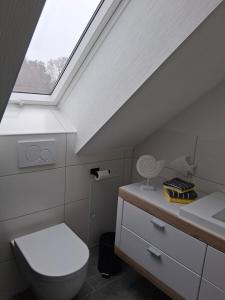 a bathroom with a toilet and a window at Auszeit in Storkow +28 photos