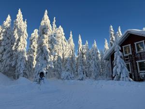 a group of trees covered in snow next to a house at Villa Peippo in Rovaniemi