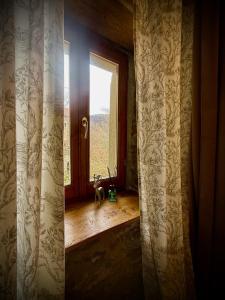 a room with a window with a dog looking out at Viandanti, Artisti e Sognatori in Comano