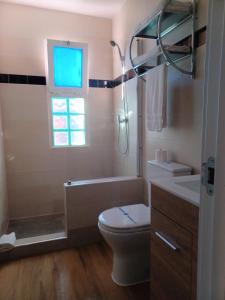 a bathroom with a toilet and a tub and a window at C&H Aravaca Garden in Madrid