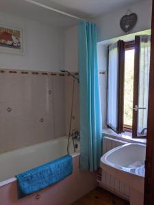 a bathroom with a bath tub and a sink at Cottage in Auvergne in Laval-sur-Doulon +33 photos