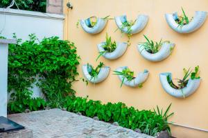 a wall with a bunch ofotted plants in pot holders at The Bacongo Gem in Brazzaville