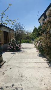 a driveway with pink flowers next to a building at La Candelora Casa Vacanze in Ticchiena