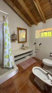 a bathroom with a shower and a toilet and a sink at Casa de Santana in Santana +48 photos